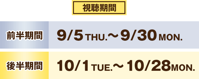 視聴期間